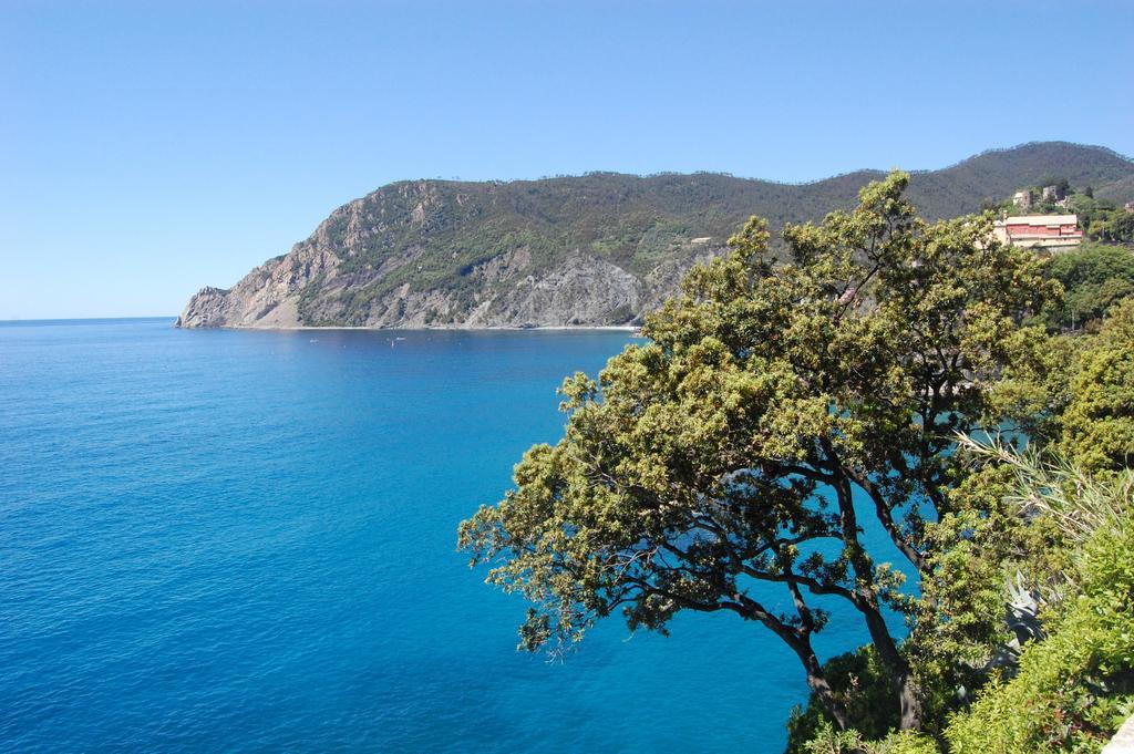 Affittacamere Irene Monterosso al Mare Exterior foto